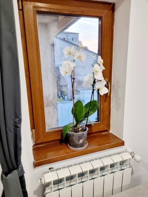 Cozy Apartment Near City Center Bucareste Exterior foto